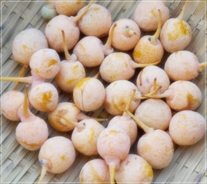 곧 만나게 될 아이들 | 인스티즈