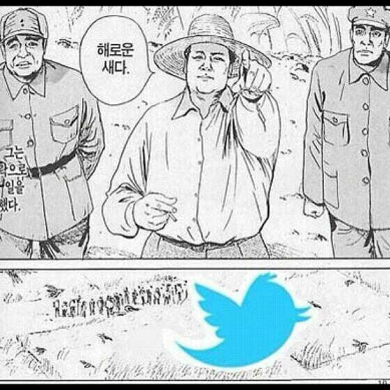 해로운 새 | 인스티즈