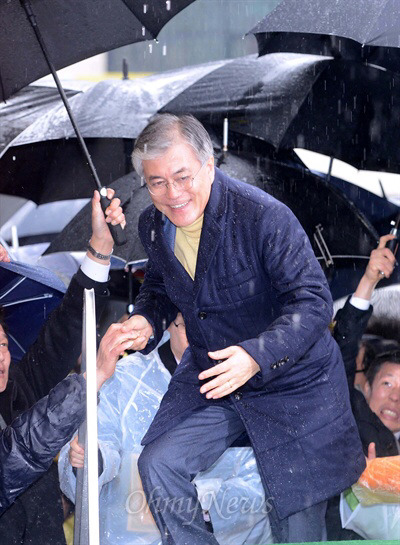 🍠 고구마 싱싱하게 5년 보관하기 🍠 | 인스티즈