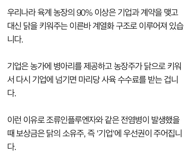 AI 피해는 농가가 보상은 기업이?...피해 보상 곳곳 허점 | 인스티즈