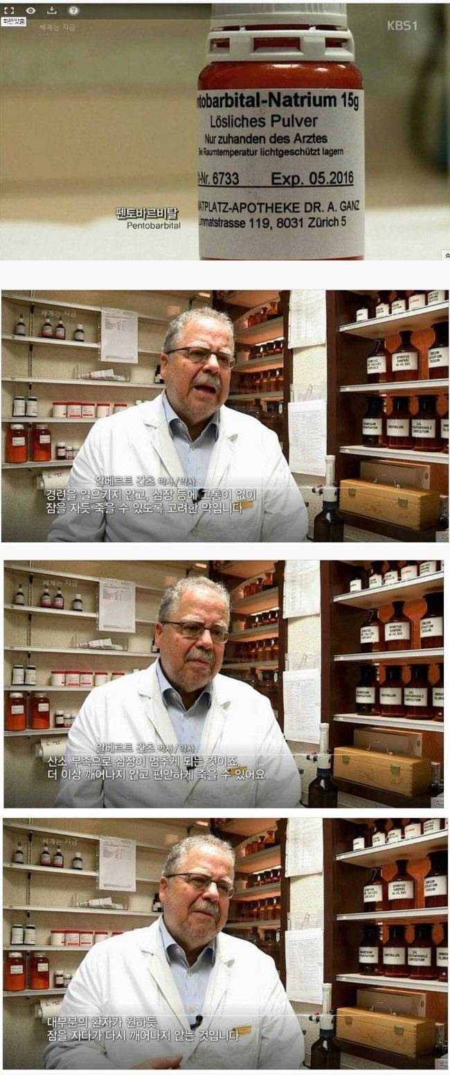 고통없이 죽는약 | 인스티즈