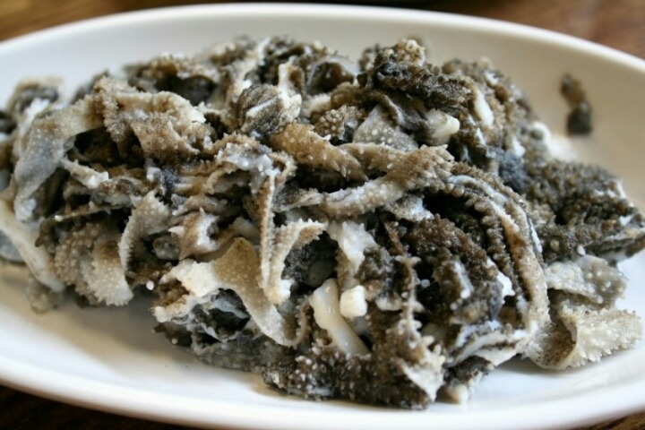 이중에서 먹을 수 있는 음식 몇개??(혐오주의) | 인스티즈