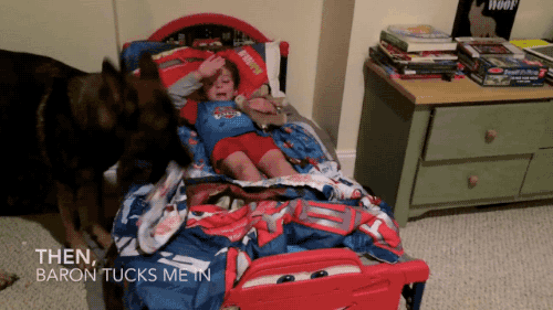 밥값하는 개 | 인스티즈