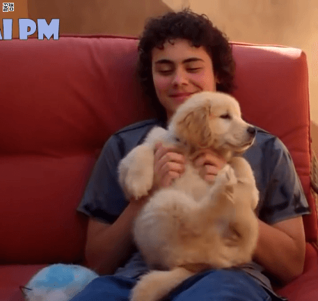 리트리버는 사랑입니다 | 인스티즈