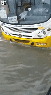 리우 올림픽 준비상태수준 | 인스티즈