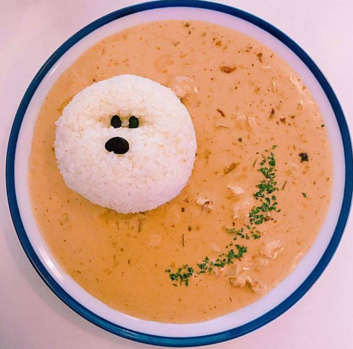 귀여움 터지는 카레(심쿵주의) | 인스티즈