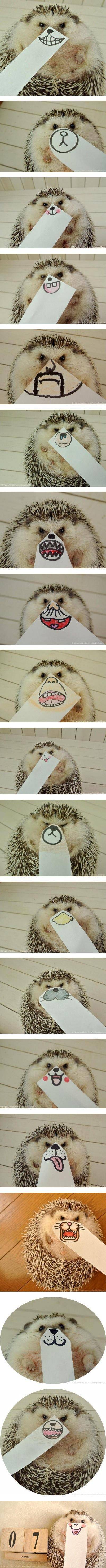 저예산 고스프레.JPG | 인스티즈