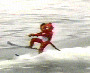 스웩 넘치는 호랑이형님 | 인스티즈