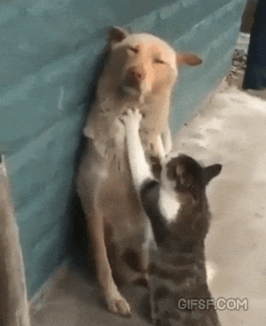 알 수 없는 길거리 안마소 | 인스티즈