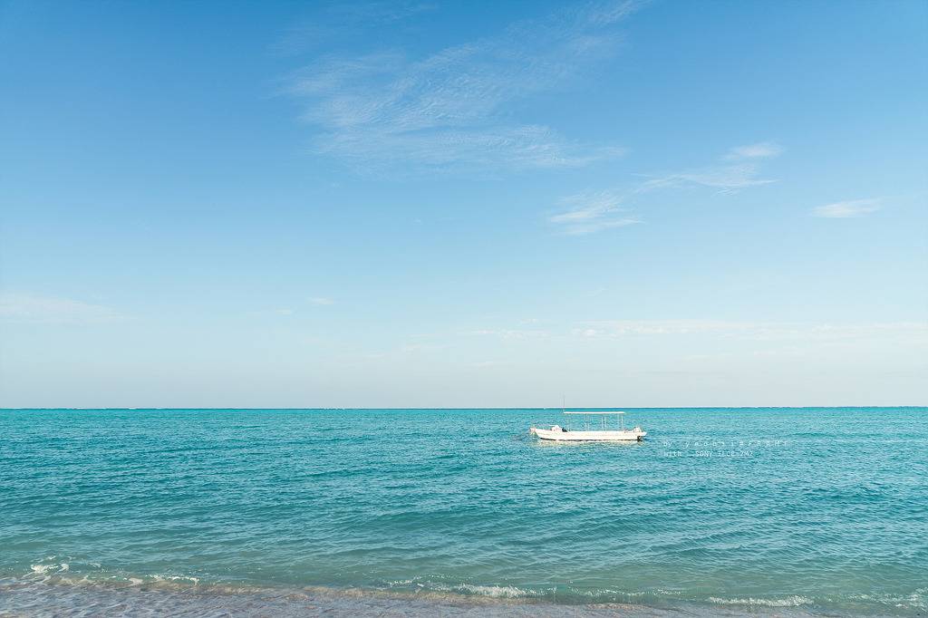 스냅사진 위주의 유치진지한 여행기 - 요론 섬&오키나와 (2) | 인스티즈