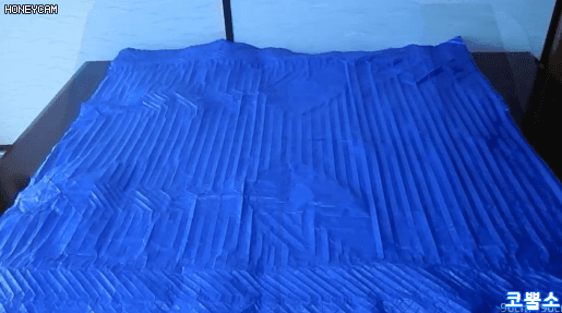 최고난도의 용을 접어봅시다.gif | 인스티즈