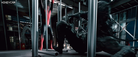 영화 기준 스파이더맨 vs 캡틴 아메리카 | 인스티즈