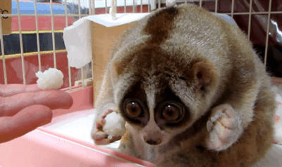 나는 손이 왜 두개밖에 없는걸까..ㅠㅠ | 인스티즈