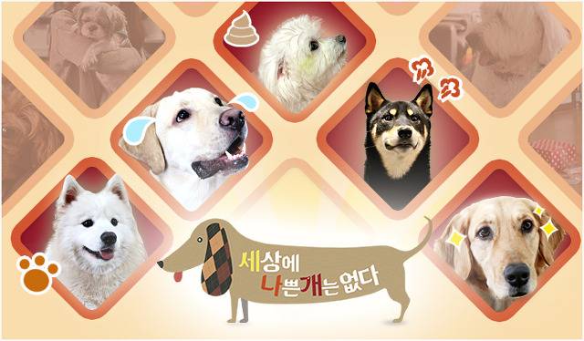 TV 프로그램 추천 | 인스티즈