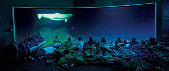 수족관에서 하룻밤 | 인스티즈