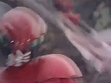 지구방위대 후뢰시맨 여러가지 짤 (전대물) | 인스티즈