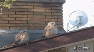 으아아악! | 인스티즈