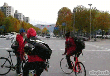 운전자들은 절대 보지 마세요!! (경고) | 인스티즈