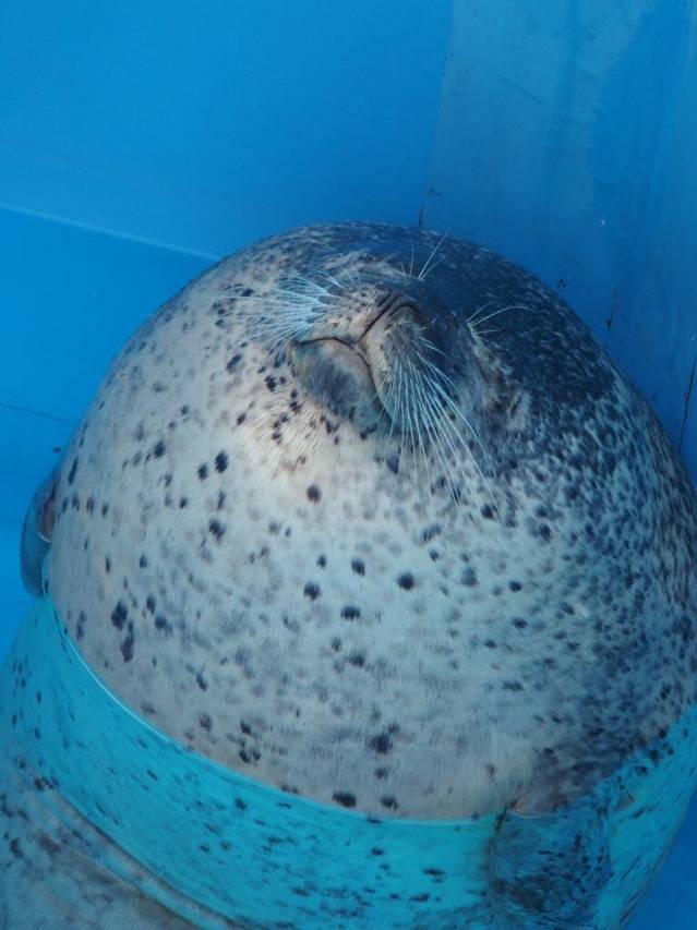 구석에서 몰래 자는중 찍힘 | 인스티즈