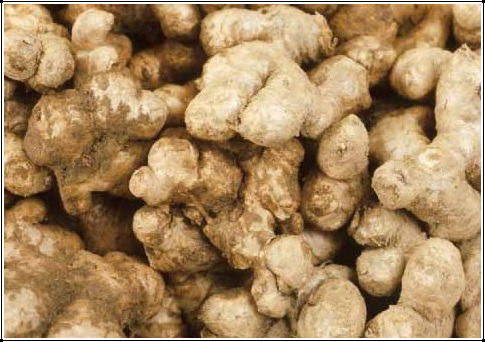 매일 아침 공감 .jpg | 인스티즈