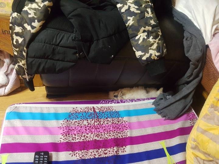 얘는 왜이러고자는거야... | 인스티즈