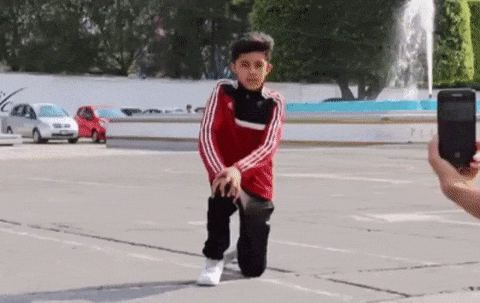 사진 좀 찍을줄 아는 댕댕이.gif | 인스티즈