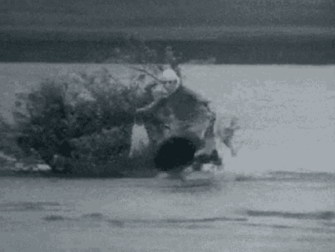 물 위를 뛰어보자 | 인스티즈