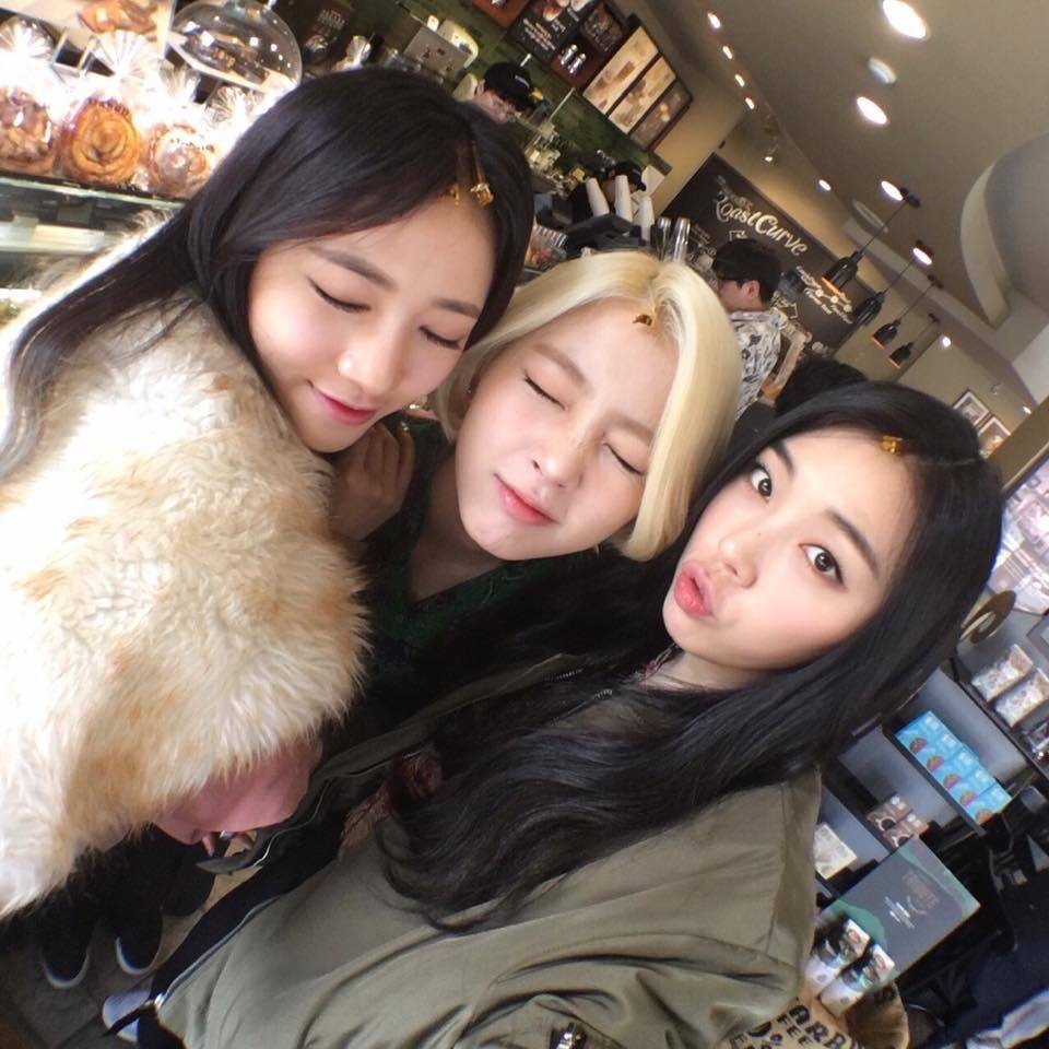 레이디스 코드 페북 | 인스티즈