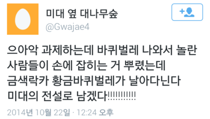 미대의 전설.twitter | 인스티즈