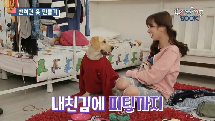 강아지 옷 만드는 지숙.jpg | 인스티즈