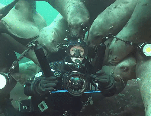 TV 촬영하는걸 신기해하는 동네주민들 | 인스티즈