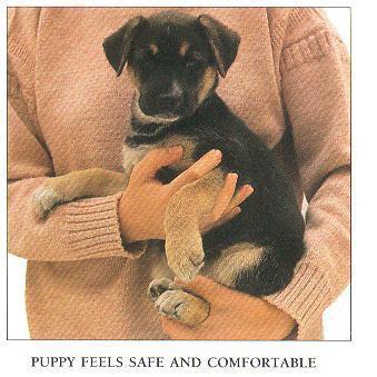 사람들은 좋아하지만 강아지들은 시룸하는 행동 | 인스티즈