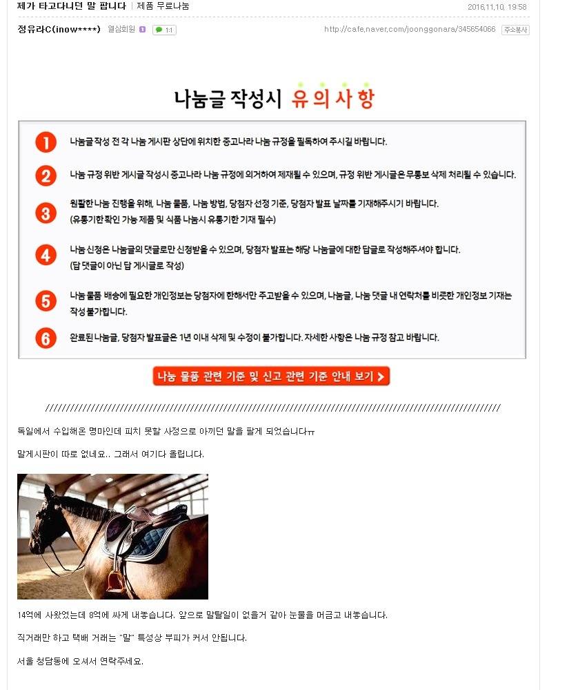 중고나라에서 이제 말도 파네요 ㄷㄷ | 인스티즈