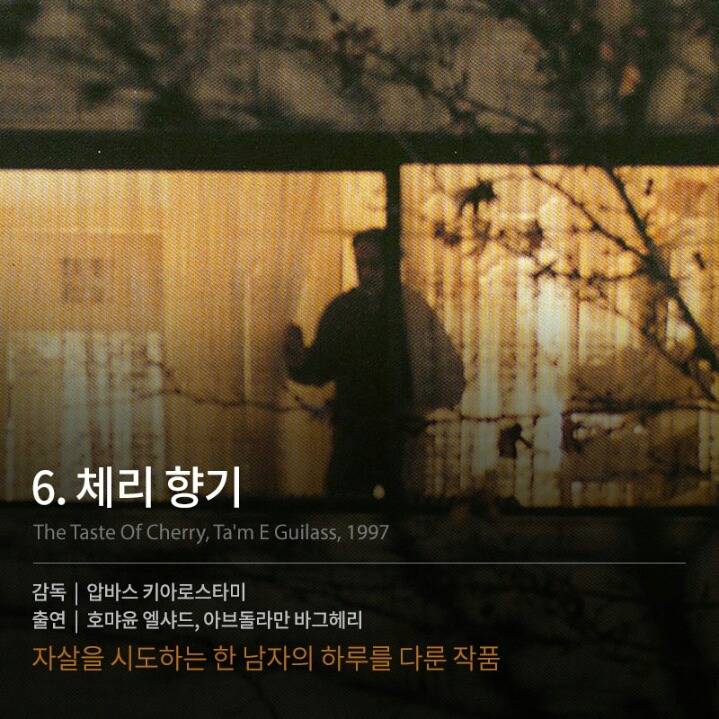 많은 생각을 하게 만드는 외국영화들 | 인스티즈