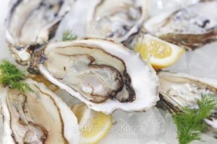 이중에서 먹을 수 있는 음식 몇개??(혐오주의) | 인스티즈