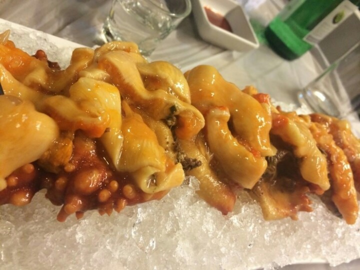 이중에서 먹을 수 있는 음식 몇개??(혐오주의) | 인스티즈