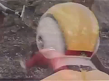 지구방위대 후뢰시맨 여러가지 짤 (전대물) | 인스티즈