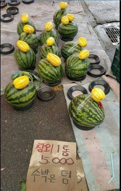 참외 1개에 5000원 | 인스티즈