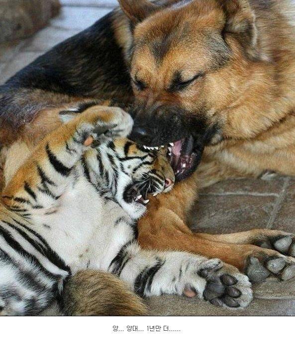 ??? : 1년 후에 보자 | 인스티즈