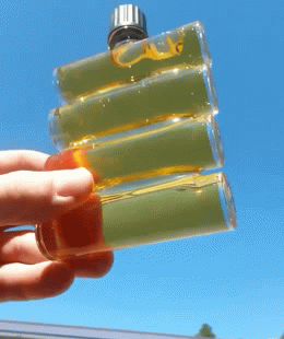 묘한 쾌감을 주는 사진들 oddly satisfying | 인스티즈