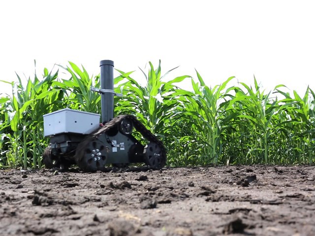  농사짓는데 이미 인공지능을 적극적으로 사용하기 시작한 미국 | 인스티즈