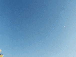 평화의 전사 라이브맨 여러가지 짤 | 인스티즈