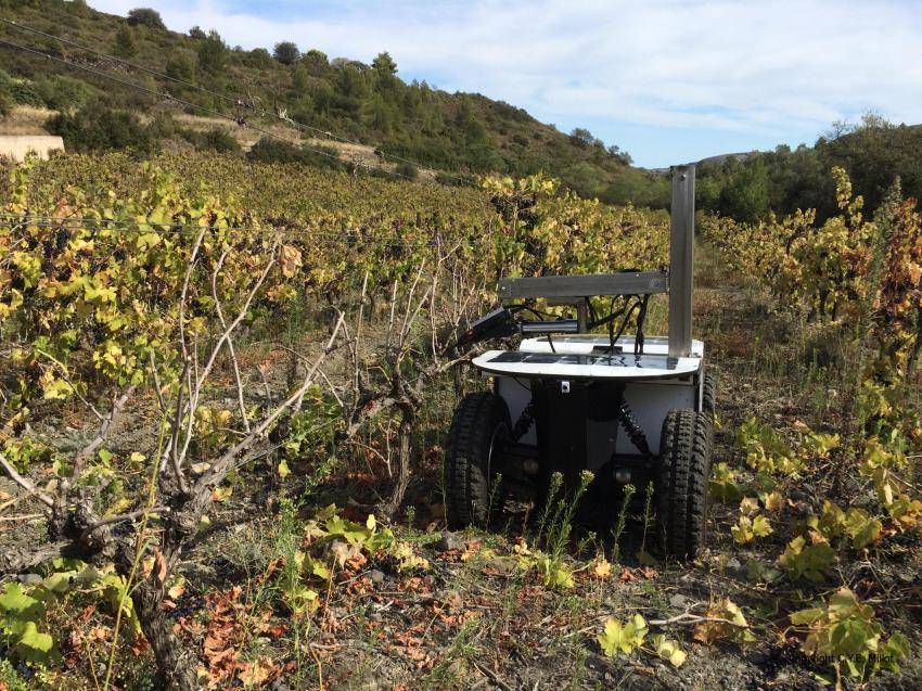 농사짓는데 이미 인공지능을 적극적으로 사용하기 시작한 미국 | 인스티즈