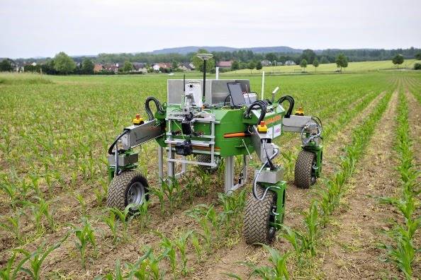  농사짓는데 이미 인공지능을 적극적으로 사용하기 시작한 미국 | 인스티즈