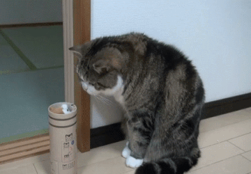 물리엔진 오류가 가장 심한 동물 | 인스티즈