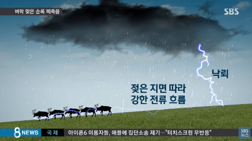 에넬이 청해로 내려올수 없는 이유 | 인스티즈