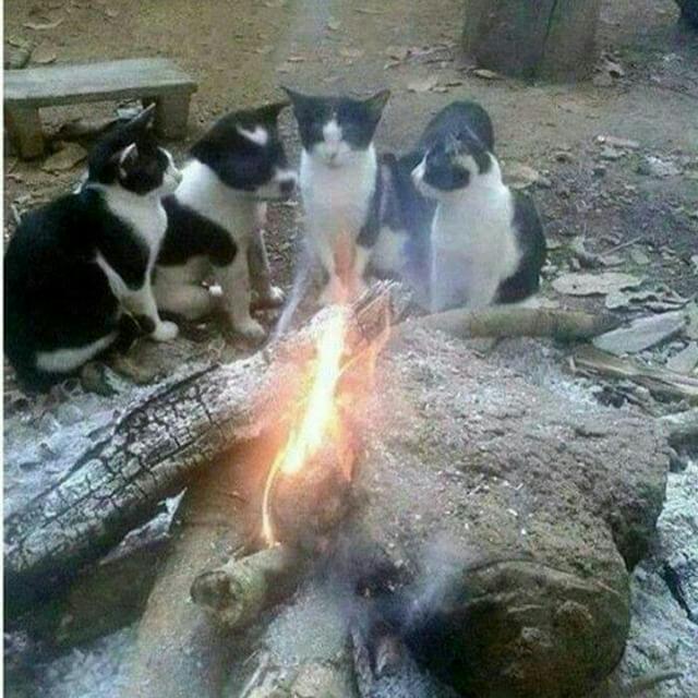 "우리중에 누군가 스파이야" | 인스티즈