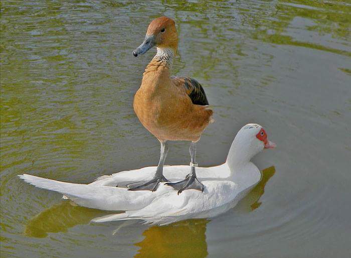 이해 안되는 동물 사진들 | 인스티즈