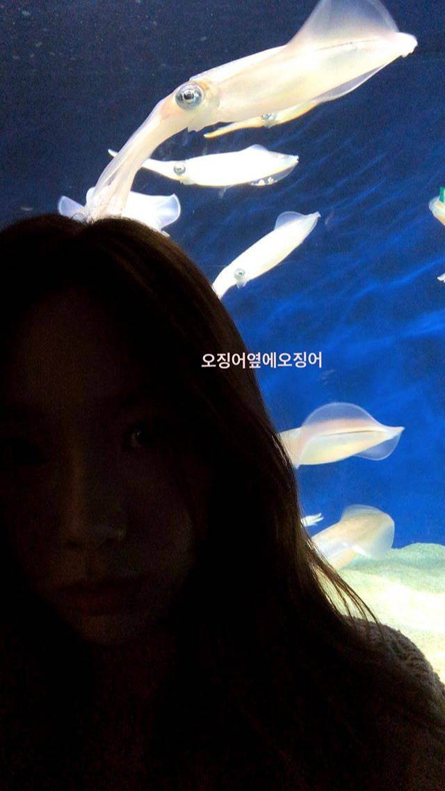 탱스타그램 (feat. 동물의 왕국) | 인스티즈