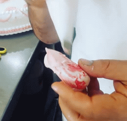 묘한 쾌감을 주는 사진들 oddly satisfying | 인스티즈